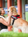 Learn How To Take Your Dog's Measurements Correctly