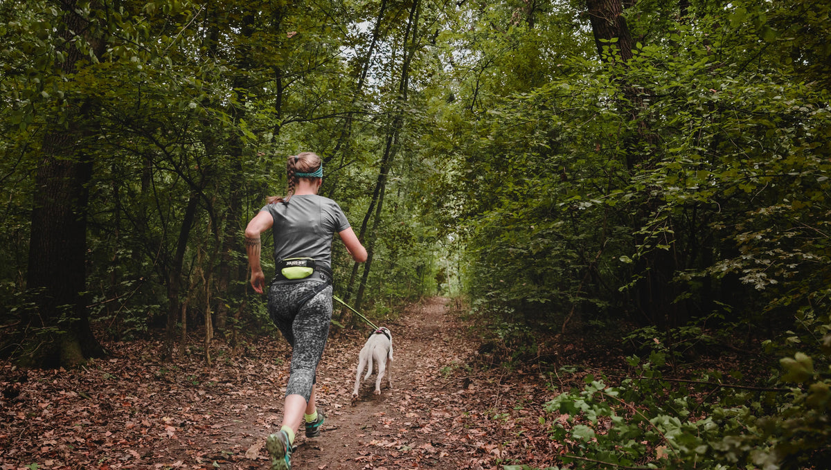 Jogging With Your Dog