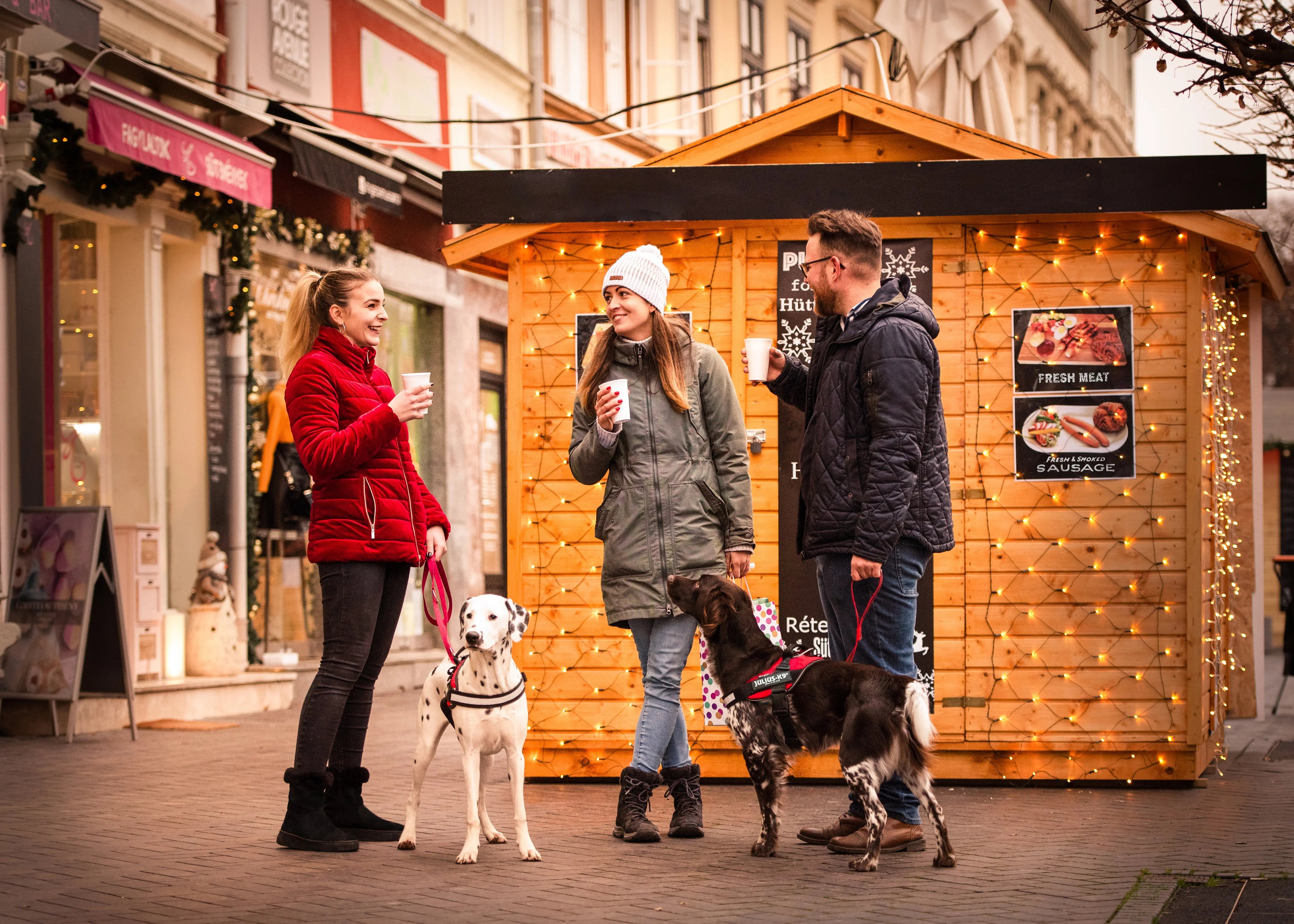 Introducing your dog to other dogs and new people