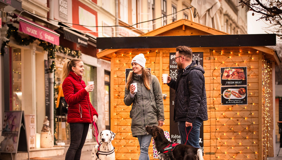 Introducing your dog to other dogs and new people