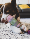 Tips For Dealing With A Dog That Chews Everything
