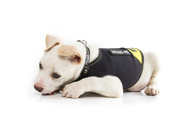 IDC Neoprene Waterproof Dog Vest -All Weather Vest - JULIUSK9® CANADA