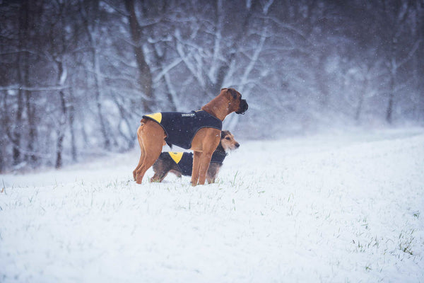 IDC Neoprene Waterproof Dog Vest -All Weather Vest - JULIUSK9® CANADA