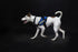 files/IDC_Powerharness_-_Blue_-_JULIUSK9_CANADA-5953090.jpg