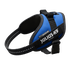 files/IDC_Powerharness_-_Blue_-_JULIUSK9_CANADA-5953105.png