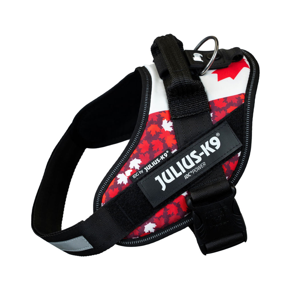 IDC® Powerharness - Canada Flag Harness | JULIUSK9® CANADA