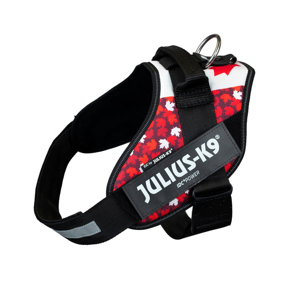 IDC® Powerharness - Canada Flag Harness - JULIUSK9® CANADA