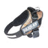 IDC® Powerharness  - Fall / Woodland Color - JULIUSK9® CANADA