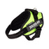 files/IDC_Powerharness_-_Neon_Green_-_JULIUSK9_CANADA-5953490.jpg
