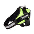 files/IDC_Powerharness_-_Neon_Green_-_JULIUSK9_CANADA-5953502.jpg