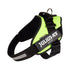 files/IDC_Powerharness_-_Neon_Green_-_JULIUSK9_CANADA-5953508.jpg