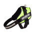 files/IDC_Powerharness_-_Neon_Green_-_JULIUSK9_CANADA-5953514.jpg