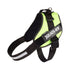 files/IDC_Powerharness_-_Neon_Green_-_JULIUSK9_CANADA-5953516.jpg