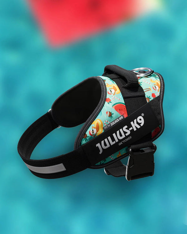 IDC® Powerharness - Santa's Holiday - JULIUSK9® CANADA