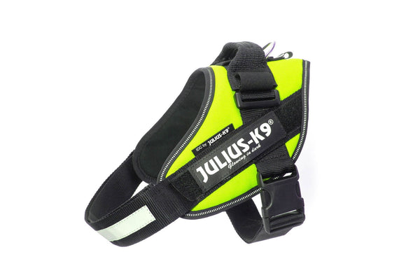 IDC® Powerharness - UV Neon Green - JULIUSK9® CANADA
