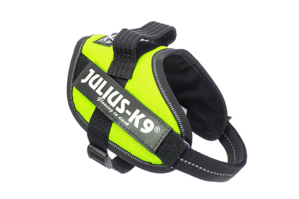 IDC® Powerharness - UV Neon Green - JULIUSK9® CANADA
