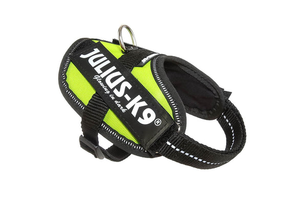 IDC® Powerharness - UV Neon Green - JULIUSK9® CANADA