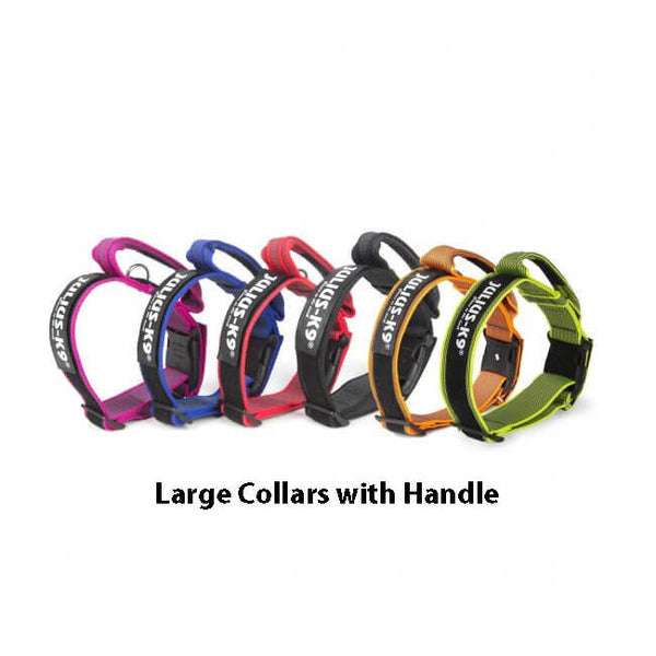 Large Collar with handle and safety lock- 50mm Thick - JULIUSK9® CANADA