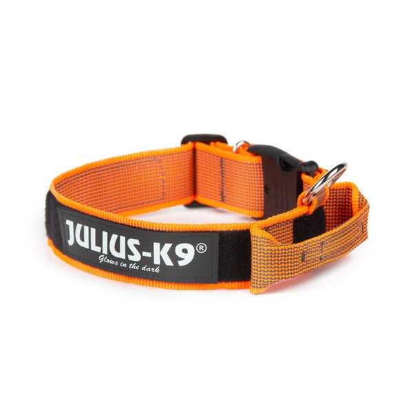 Large Collar with handle and safety lock- 50mm Thick - JULIUSK9® CANADA