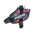 files/Limited_Edition_-_Mixed_Hearts_Harness_-_JULIUSK9_CANADA-5954296.jpg