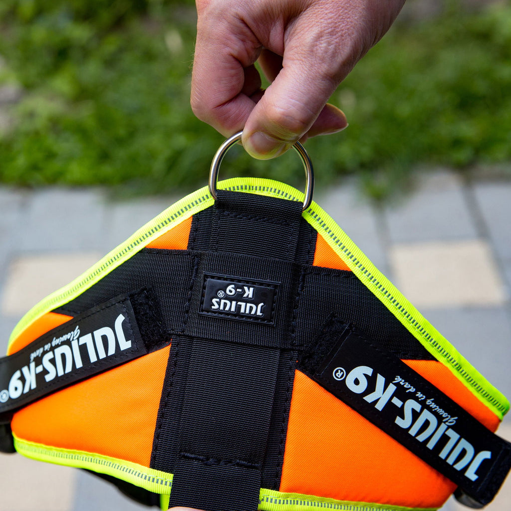 Mantrailing Dog Harness | JULIUSK9® CANADA