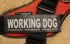 "Working Dog" Large Harness Labels - Set of 2 Labels / patches - JULIUSK9® CANADA