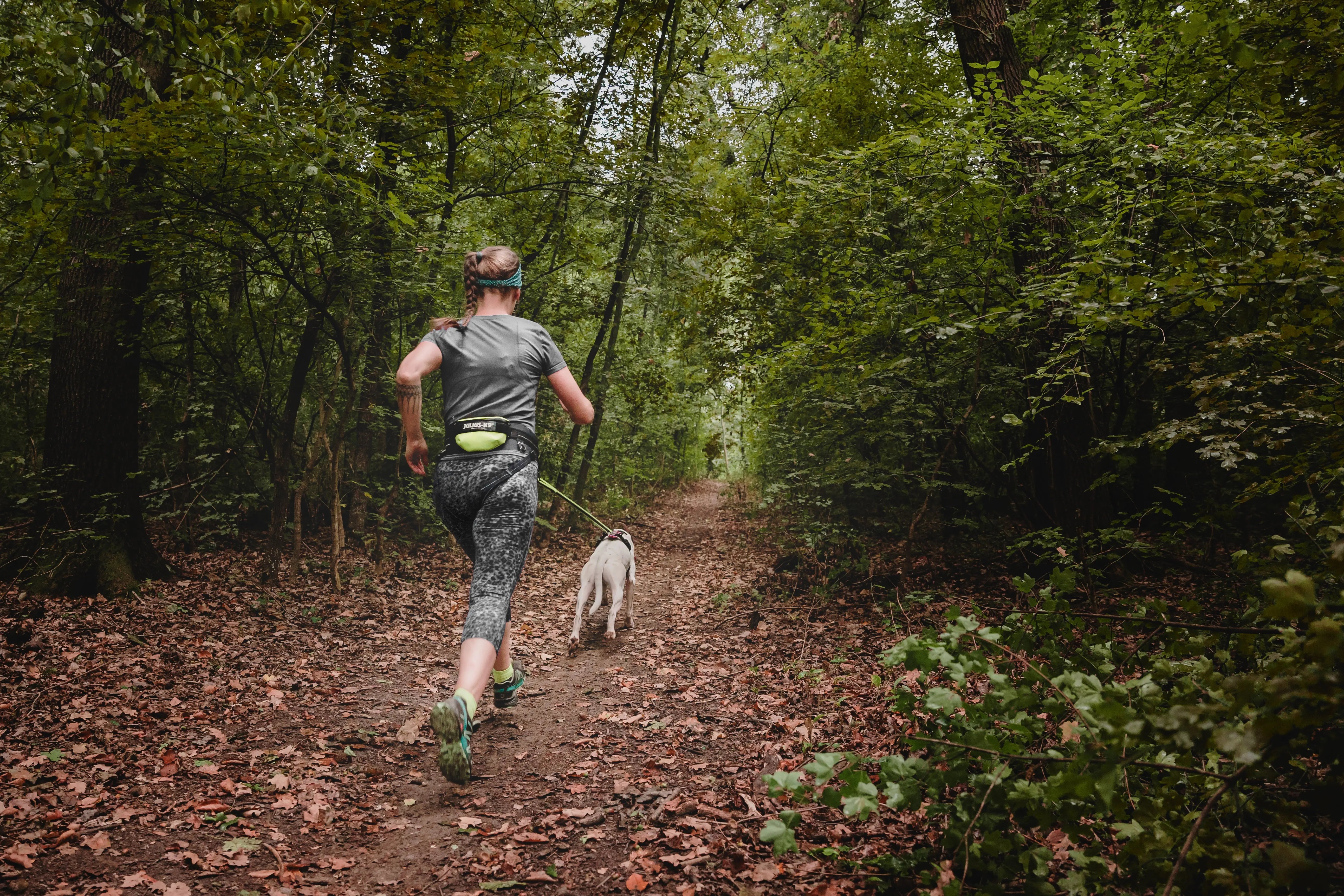 Jogging With Your Dog