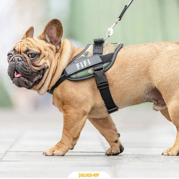 1 x Pair of Custom Labels for your Dog Harness - JULIUSK9® CANADA