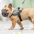 files/1_x_Pair_of_Custom_Labels_for_your_Dog_Harness_-_JULIUSK9_CANADA-5952117.jpg