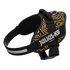files/24idck9-cany-2_2.png