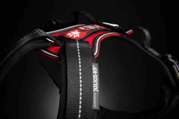 AGILITY and RACING Harness by JULIUS-K9® - JULIUSK9® CANADA