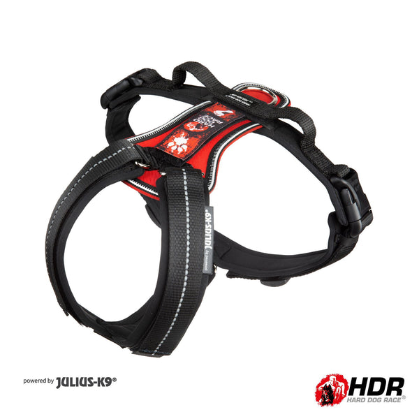 AGILITY and RACING Harness by JULIUS-K9® - JULIUSK9® CANADA