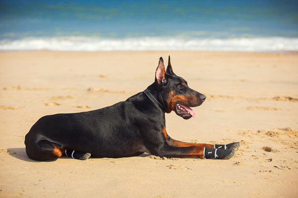 Comfort K9 Dog Boots - All Weather Dog Boots