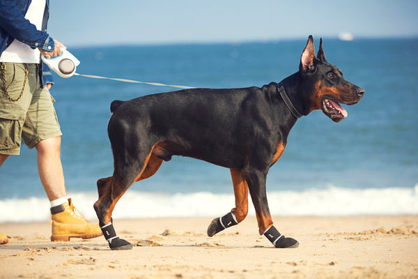 Comfort K9 Dog Boots - All Weather Dog Boots