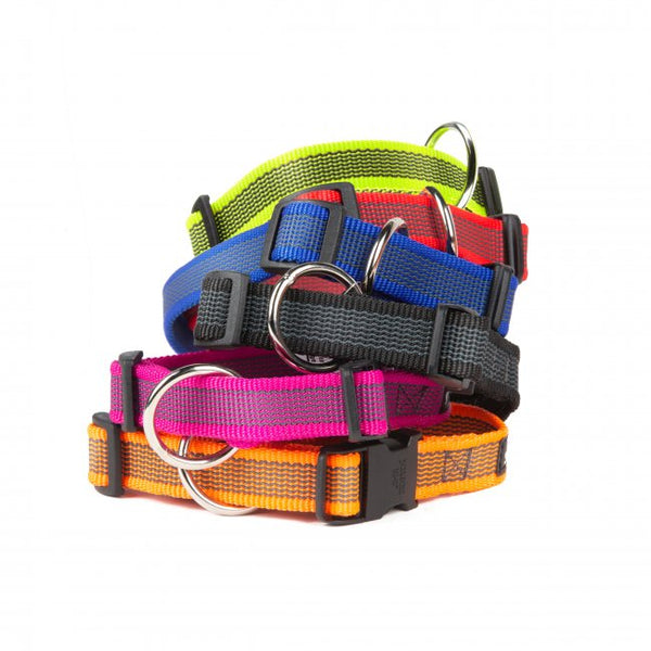 Colour & Gray® Webbed Dog Collars - JULIUSK9® CANADA