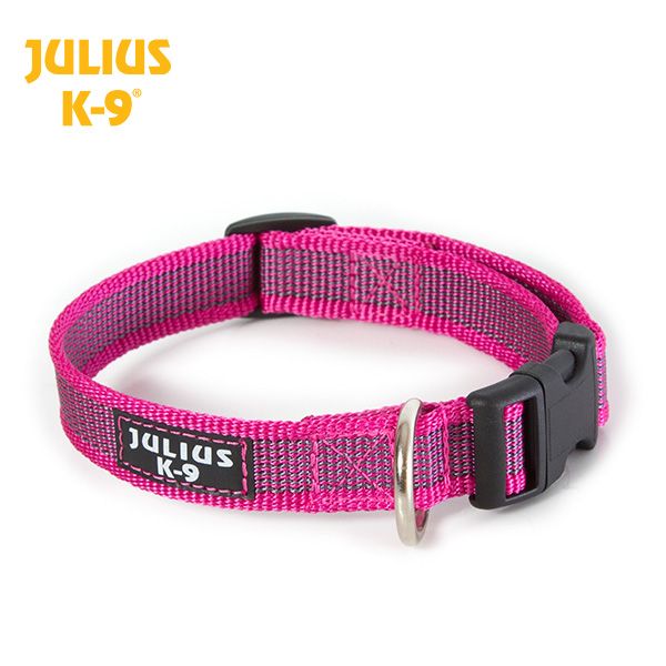 Colour & Gray® Webbed Dog Collars - JULIUSK9® CANADA