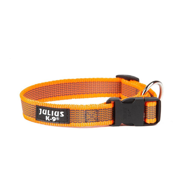 Colour & Gray® Webbed Dog Collars - JULIUSK9® CANADA