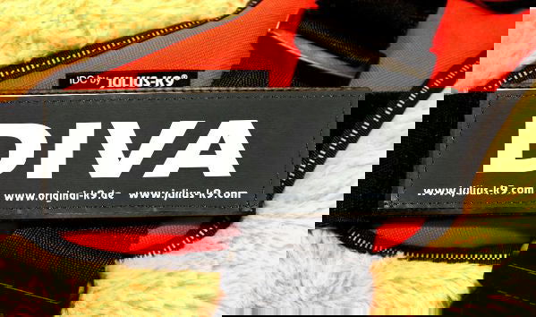 "DIVA" Large / Small Harness Labels - Set of 2 Labels / patches - JULIUSK9® CANADA