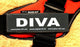 "DIVA" Large / Small Harness Labels - Set of 2 Labels / patches