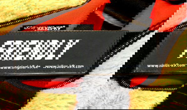 "Friendly" Large Harness Labels - Set of 2 Labels / patches - JULIUSK9® CANADA