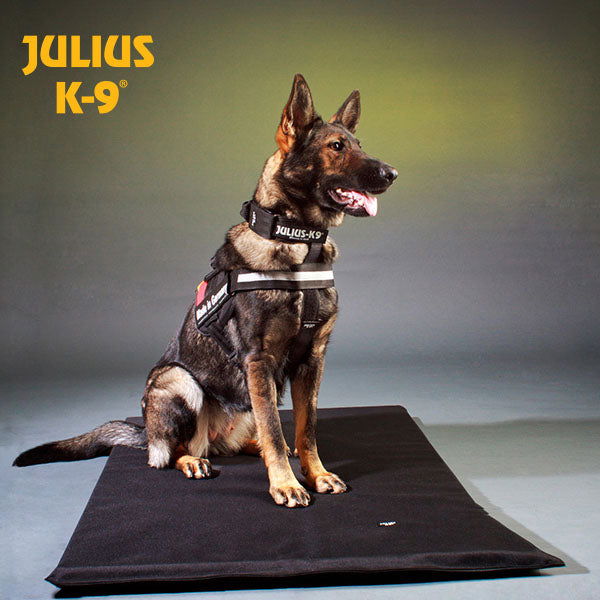 I-belt for Powerharnesses - JULIUSK9® CANADA