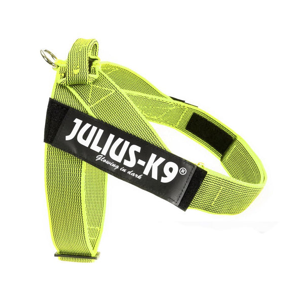 IDC® Belt Harness - JULIUSK9® CANADA