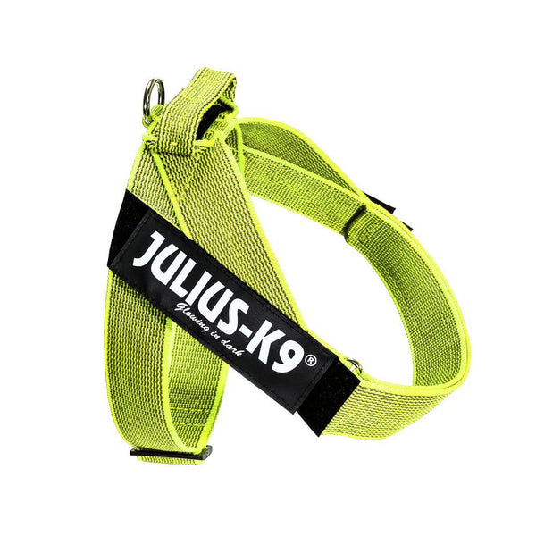 IDC® Belt Harness - JULIUSK9® CANADA