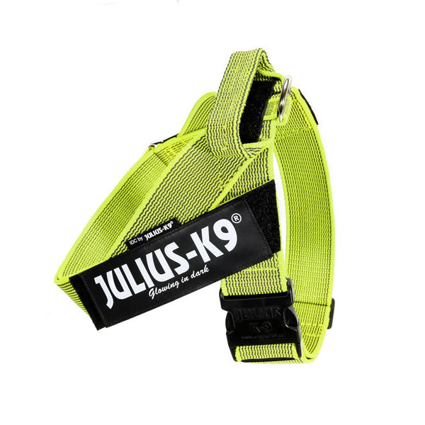 IDC® Belt Harness - JULIUSK9® CANADA