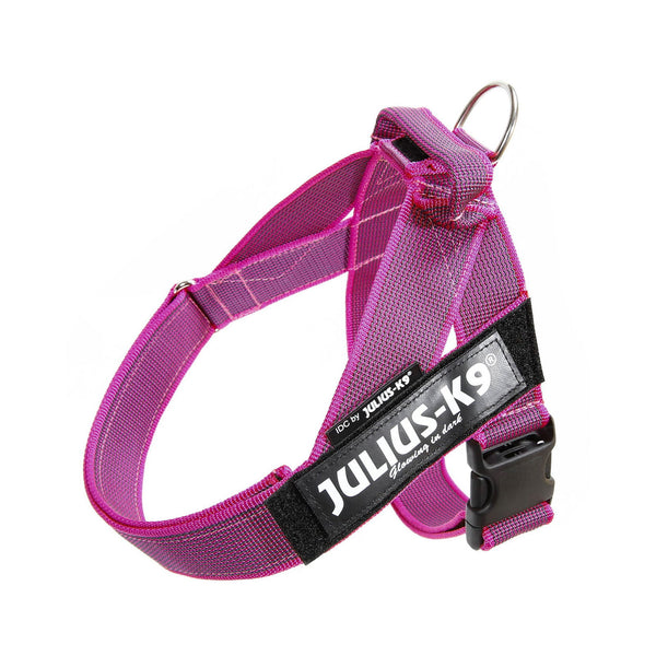 IDC® Belt Harness - JULIUSK9® CANADA