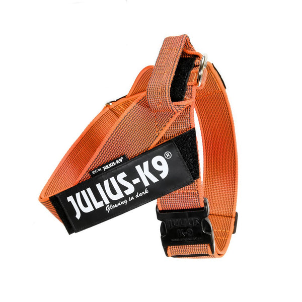 IDC® Belt Harness - JULIUSK9® CANADA