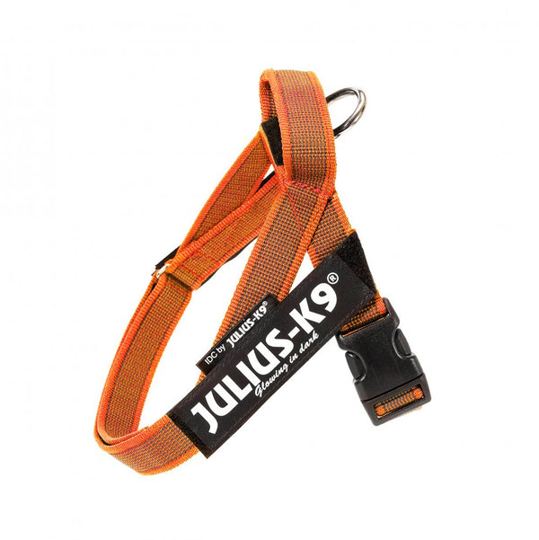 IDC® Belt Harness - JULIUSK9® CANADA