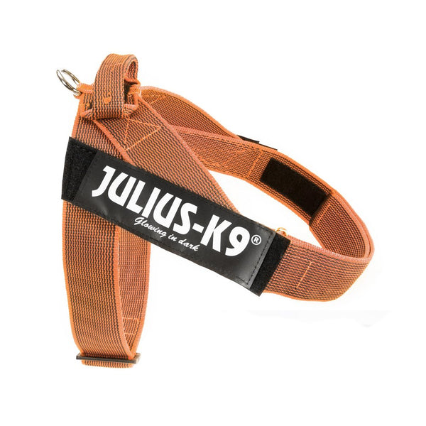 IDC® Belt Harness - JULIUSK9® CANADA