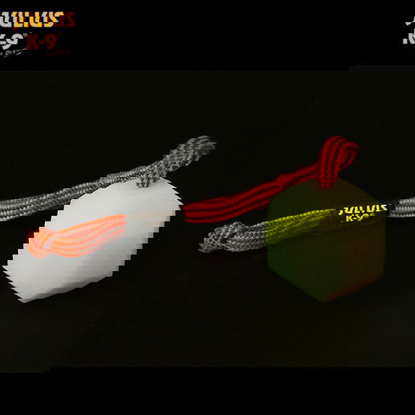 IDC Fluorescent Training Ball - 60mm - JULIUSK9® CANADA