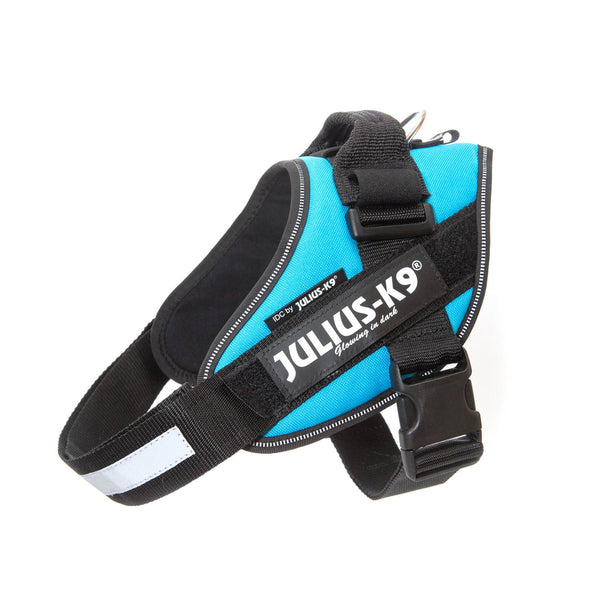 IDC® Powerharness  - Aquamarine - JULIUSK9® CANADA